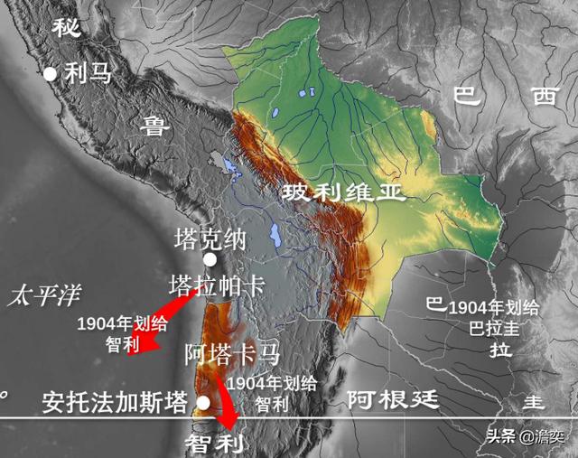 美洲沙漠出现姬鸮:橘仓鸮分布区域 历史上南美洲的鸟粪战争是怎么回事？