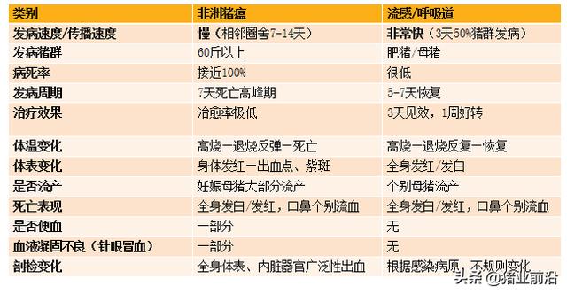 猪的正常体温是多少度?:二百多斤的猪体温39.6流鼻涕不吃食怎么办？