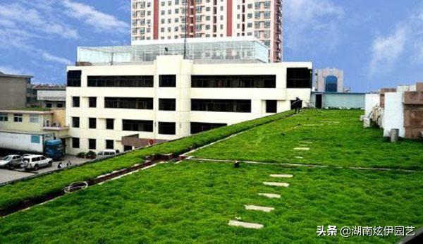 我家住在顶楼，最近想在楼顶搞一个空中花园，能否请大家提供好思路？插图