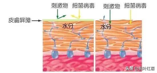 拜宠爽作用原理:如果一个农民发现了反重力的原理，他该怎么办？
