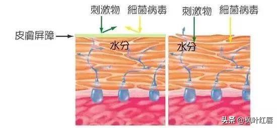 非离子洗面奶有哪些，哪些“洗面奶”成分特别刺激，用久了脸上痘痘，毛孔粗大严重呢