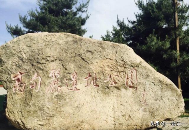高句丽王朝:为什么说高句丽不能算朝鲜古代的王朝或政权？