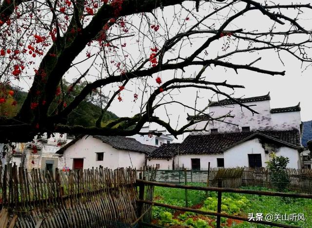 辛追刚出土时图片:俗语“人怕腊月生，又怕腊月死”，是何意？
