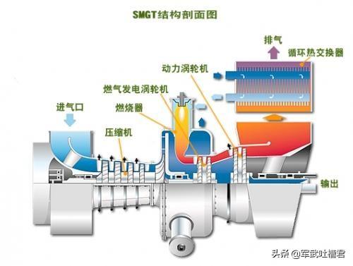 为什么要用金鱼藻做实验:彩票出码是随机的，为什么还可以预测？