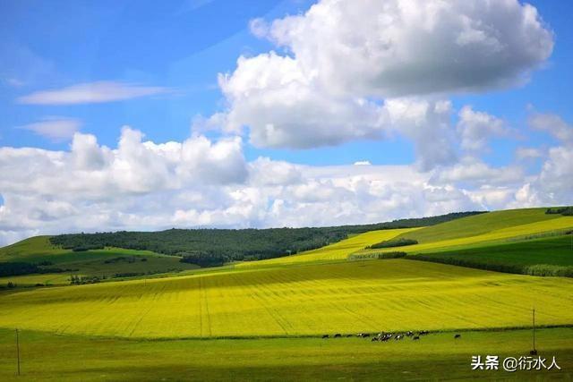 夏天适合什么微信名最好:大家知道什么植物适合在南方夏天种植的吗
