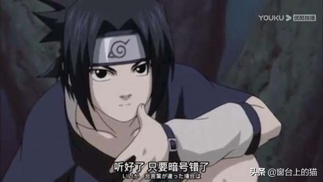 监考猫:中忍考试期间春野樱是最弱的吗？