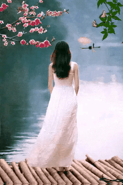 429_648竖版 竖屏gif 动态图 动图