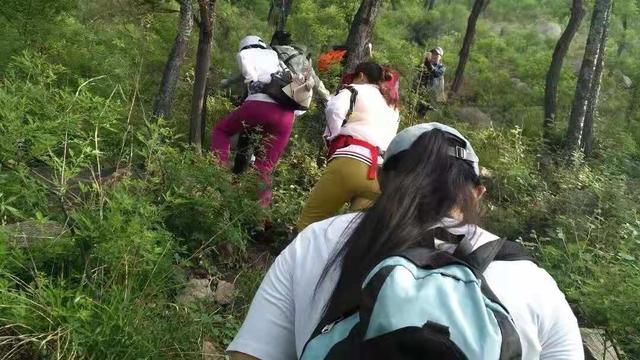 宠物刺猬衣服图片大全:为什么在农村到了夏季经常可以看到刺猬，别的时候都在做什么呢？ 成年迷你刺猬图片