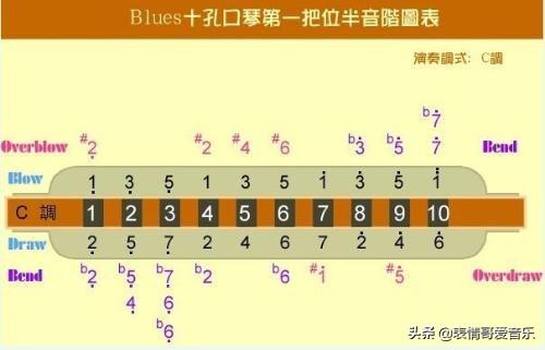 怎么给大山雀压音:十孔口琴多孔含法能压音吗？为什么？