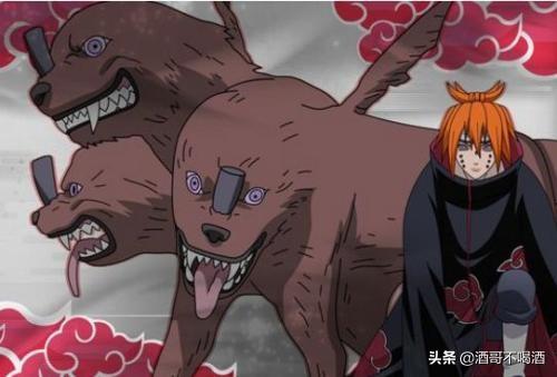 纯种西帕凯犬:如果是迈特凯和卡卡西去雨忍村获取情报，能够全身而退吗？