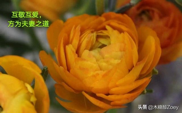 张亮为前妻庆生:张亮都离婚两年了，为何会选择在此时公开？
