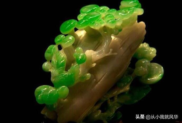 翡翠好,还是玉好,在中国，和田玉与翡翠哪个更厉害？