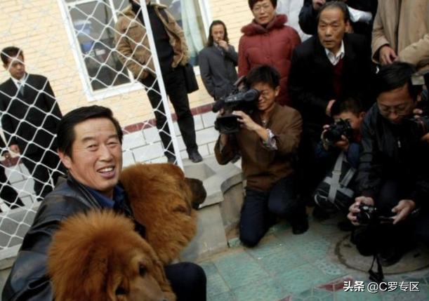 藏獒之父马俊:藏獒之父马俊仁 养藏獒，培养王军霞等奥运冠军，70多岁的马俊仁现状如何？