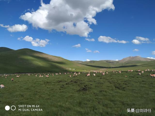为什么我这样的小人物,却产生了当“网红”的想法？