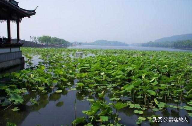 微步,苏炳添和凌波微步哪一个快？