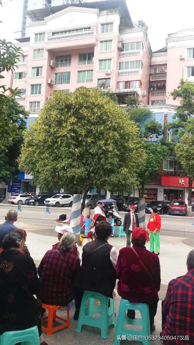 见过这种桂花吗？