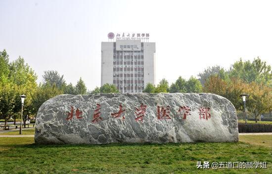 宠物的饲养by:动物医学和口腔医学哪个就业更好？为什么？