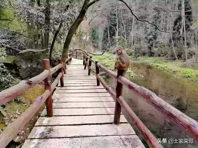 海边游玩发朋友圈说说:说走就走的旅行，你更向往哪里？(来一场说走就走的旅行)