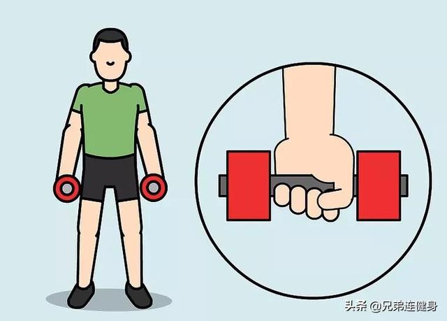 哑铃弯举正确动作怎么做