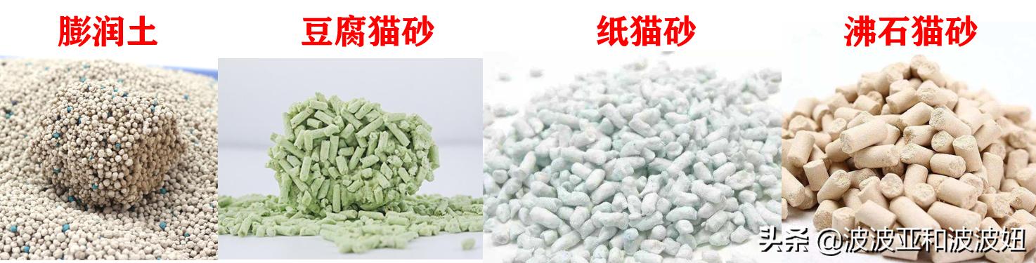 神采飞扬宠物团购:神采飞扬宠物店 亏损持续，商家“逃离”，美团为何深陷困局？