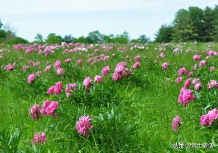 洛阳纸贵:“洛阳纸贵”说的是什么？和洛阳有什么关系？