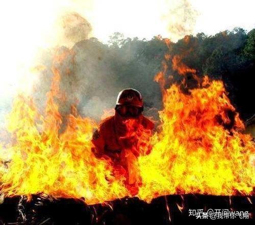 2019四川火灾事件，如何看待四川凉山森林火灾致31名消防队员牺牲