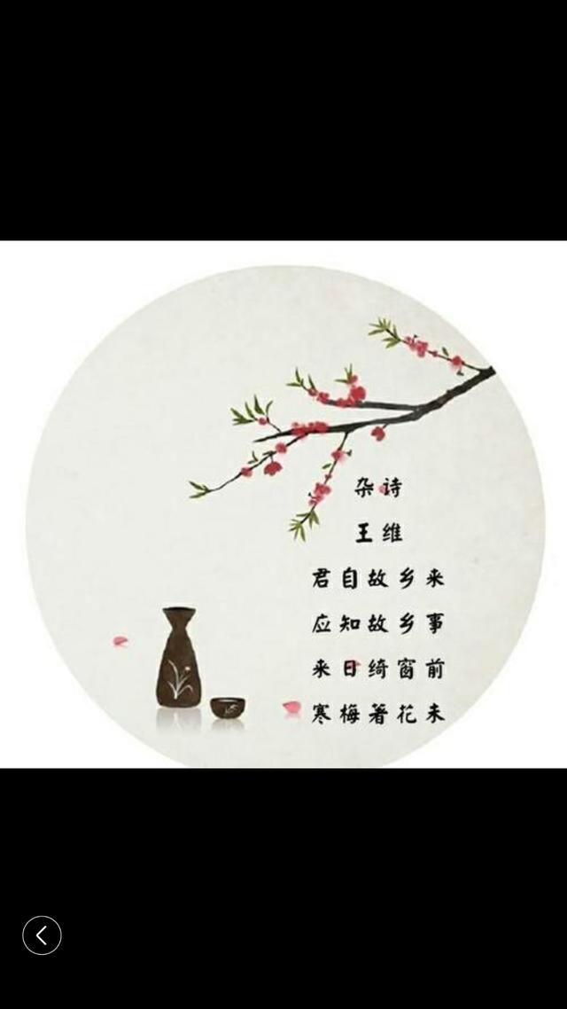 梅花有关的诗句,中国古诗里有哪些最能打动人心的梅花诗