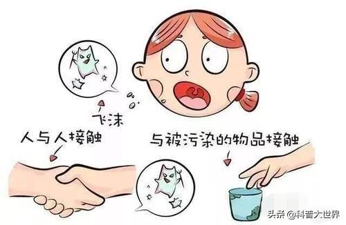 2020新型冠状病毒怎么引起的:新型冠状病毒肺炎是由什么途径传播的？它由什么动物传染给人？