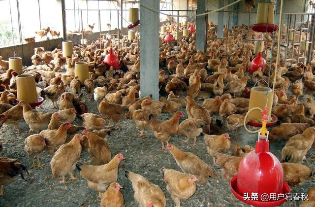 现在做什么行业,短时间不会淘汰？