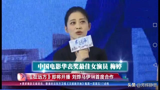刘烨电视剧:如何评价由刘烨、马伊琍、梅婷主演的电视剧《在远方》？