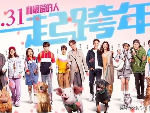 宠爱豆瓣:如何评价徐峥监制的新电影《宠爱》？