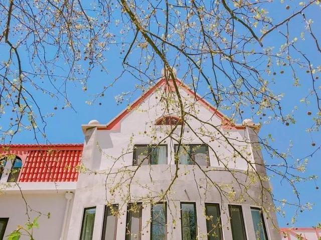 彭于晏和白百合:青岛毕业旅行最值得去的地方有哪些