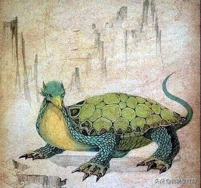 黄河大龟的传说，《山海经》中异兽旋龟，现在究竟还有没有
