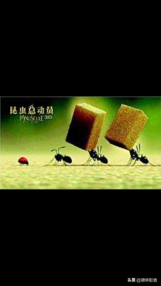 关于动物的电影18部:动物电影完整版免费看 看过哪些以动物为主题的恐怖惊悚片？