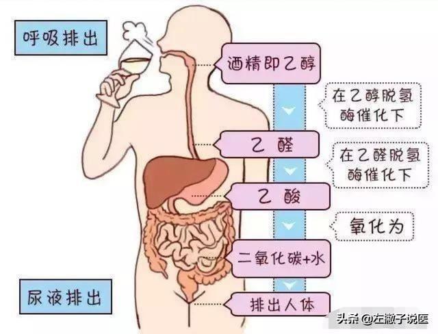 白酒最怕的解药是什么？插图20