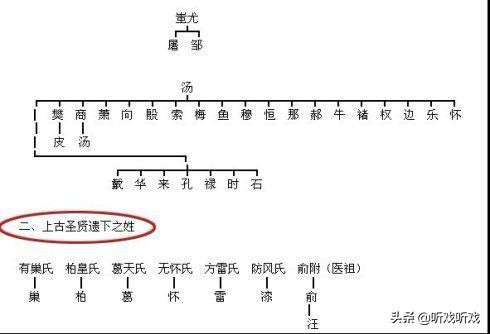 姓,你对你的姓氏家族了解多少？