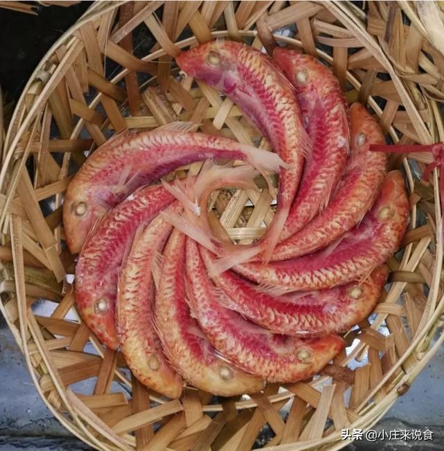 马蹄蟹:舌尖上的广东，寻觅潮汕十大特色小吃，大家知道哪些