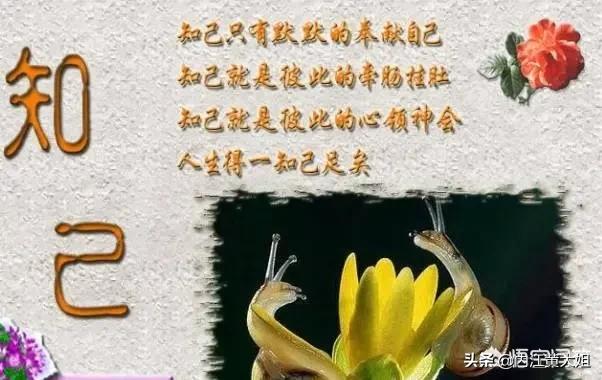 什么是知己？知己会一辈子吗？