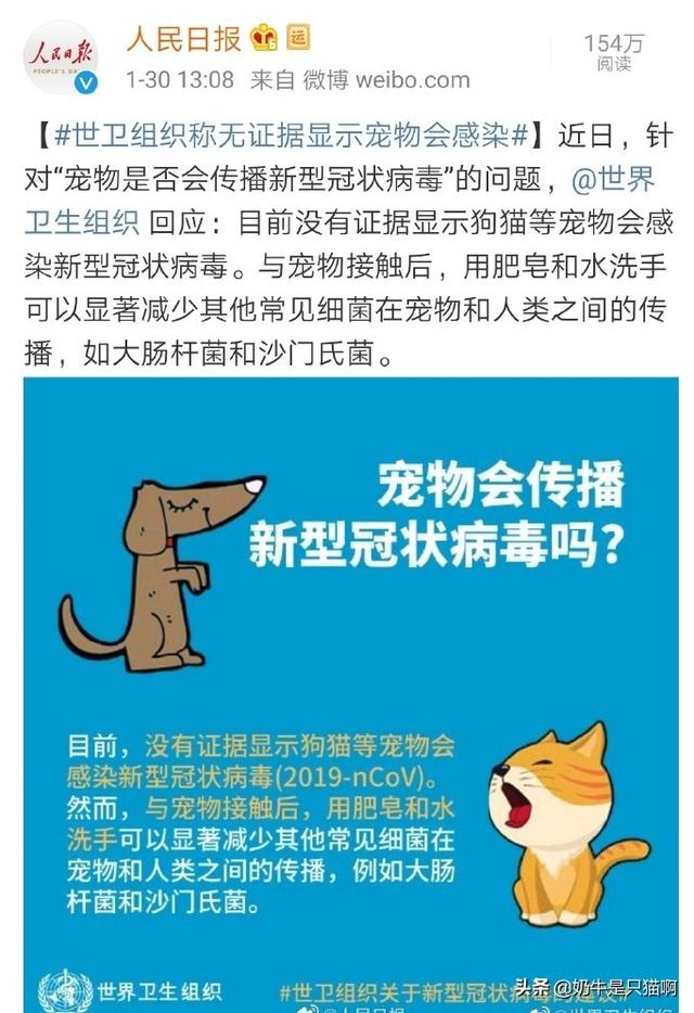 猫传腹是什么病毒:猫传腹是什么病毒引起的 新型冠状病毒能感染猫吗？