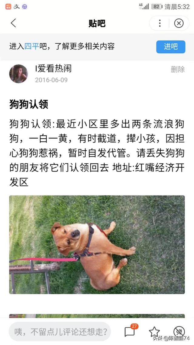 康多乐狗粮是国产的吗:网上叫嚣着国产猫粮不好，养猫只能喂进口猫粮是什么心态？