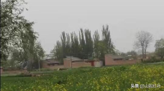 为什么现在越来越多村并村建社区,很多农村人不愿意住楼,为什么？
