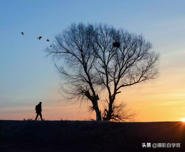 火烈鸟图片:阿塔卡玛沙漠100年才能接满1杯水，为何还生活着100万人？