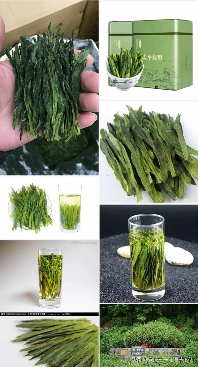 望推荐！安徽有哪些品种的茶叶？