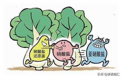 隔夜菜能不能吃?腌制的咸菜呢?