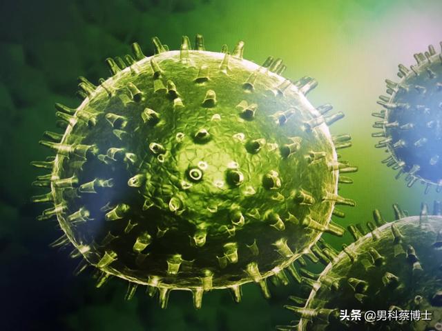 牛病毒种类:病毒的种类有多少种 牛的传染性疾病有哪些？怎样去预防才能避免发生疫情？