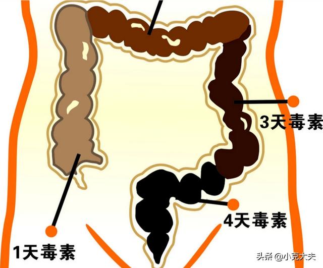 大便刚开始很难出来后面就很正常,大便开始一粒一粒后面拉出来正常