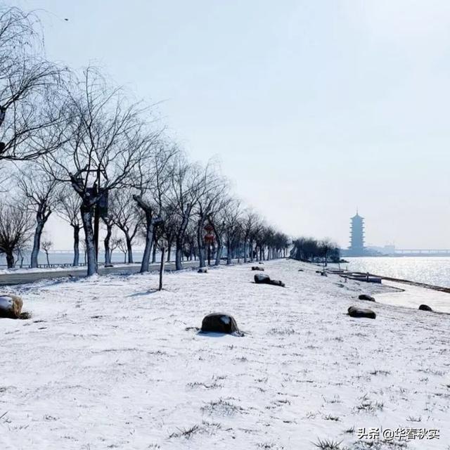 家养大鹅的祖先:如何看待洛阳乡村教师把大鹅带进教室，给孩子们上课