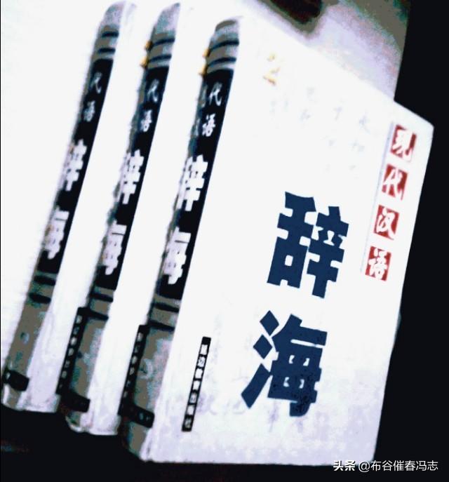 头条问答 汉语里面有哪些意想不到的外来语 60个回答