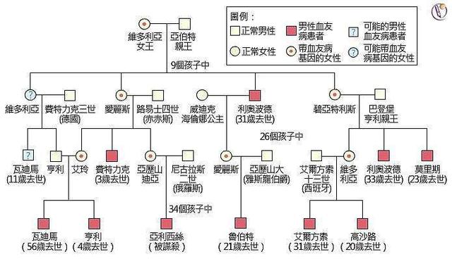 近亲家族1清水thunder:假如世界上只剩下一个男人和一个女人，请问人类会绝种吗？