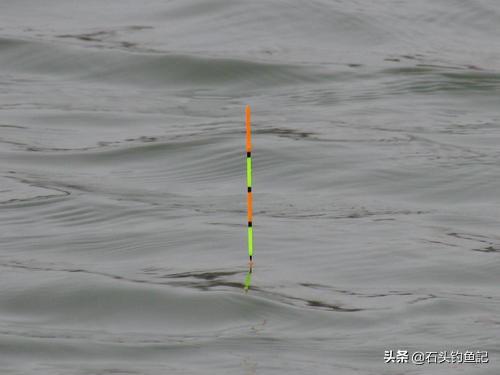 小鱼吃吃吃:孩子把一只活的小鱼喝肚子里了，该怎么办？